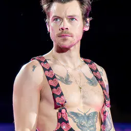 Photo de Harry Styles · Crédits photo Raph_PH · Wikimedia Commons